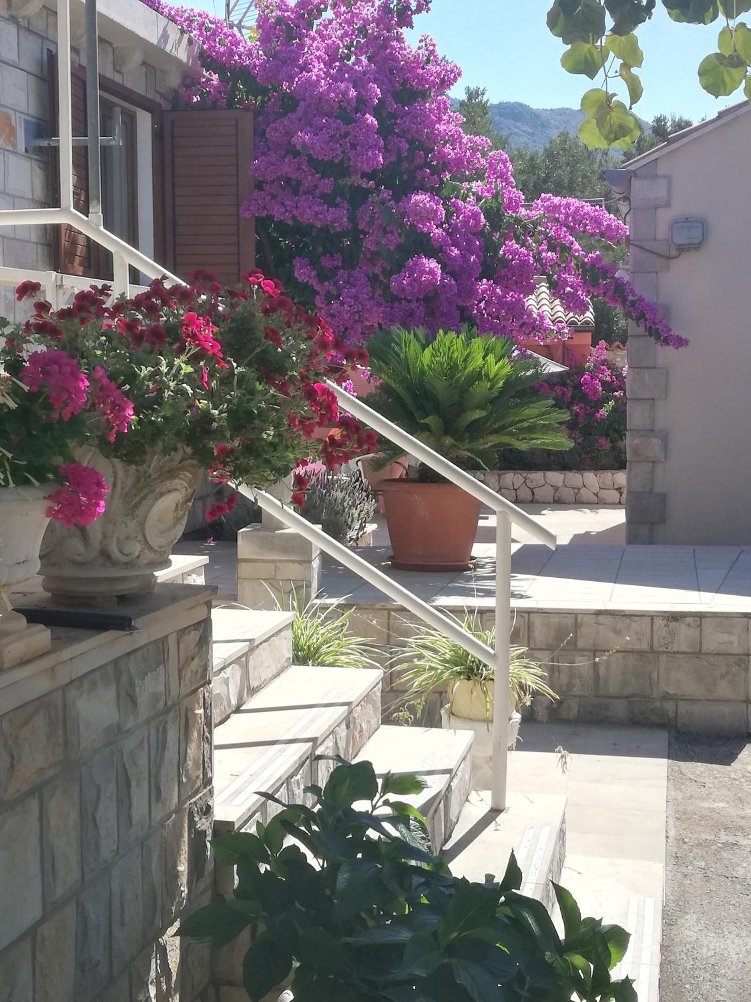 Mali Raj 3* Zaton (Dubrovnik-Neretva)